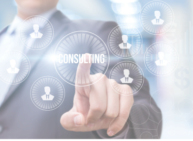 Technology Consulting